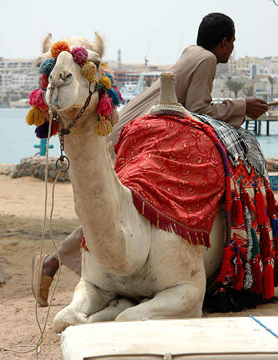 egypten36